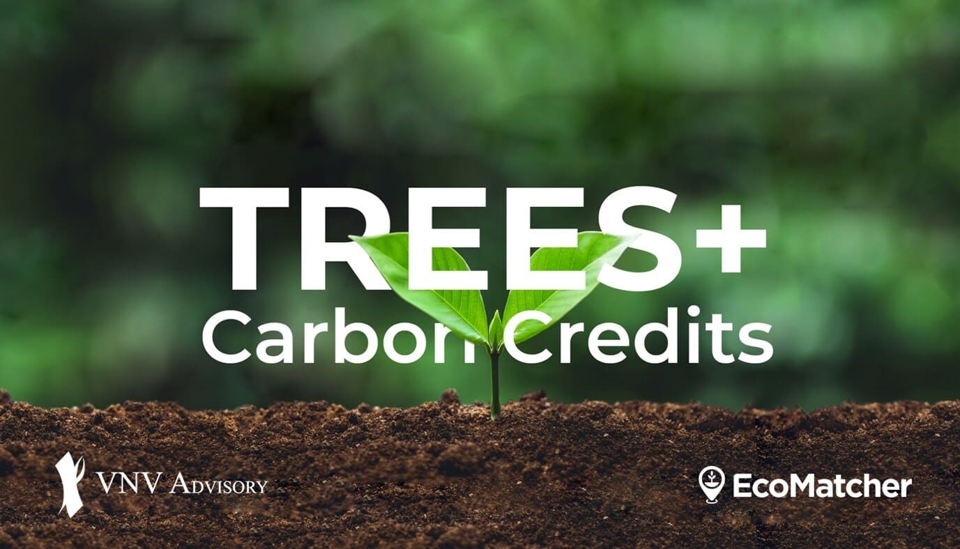 EcoMatcher and VNV Advisory Join Forces to Launch TREES+ Certified Tree ...